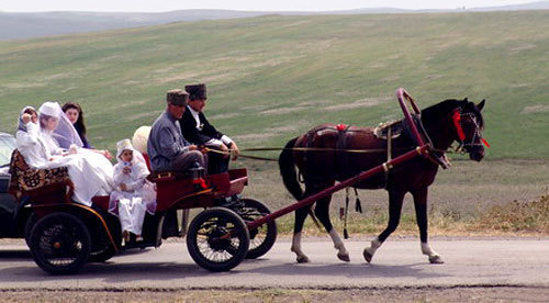 Ingushetia, wedding. Photo: http://ingushetia.ru/