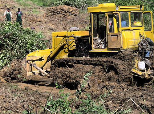 Extermination of tea plantation on the territory All-Russia Research Institute of Horticulture and Sub-tropical Plants in Sochi. June 30, 2010. Photo by the "Caucasian Knot"