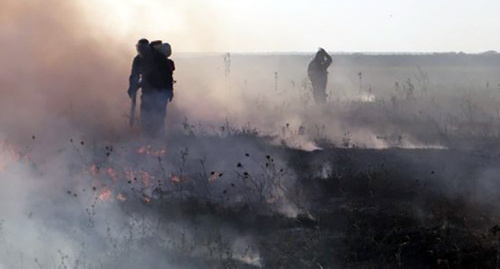 Forest fire-fighting. Photo: http://ewnc.org/node/23065