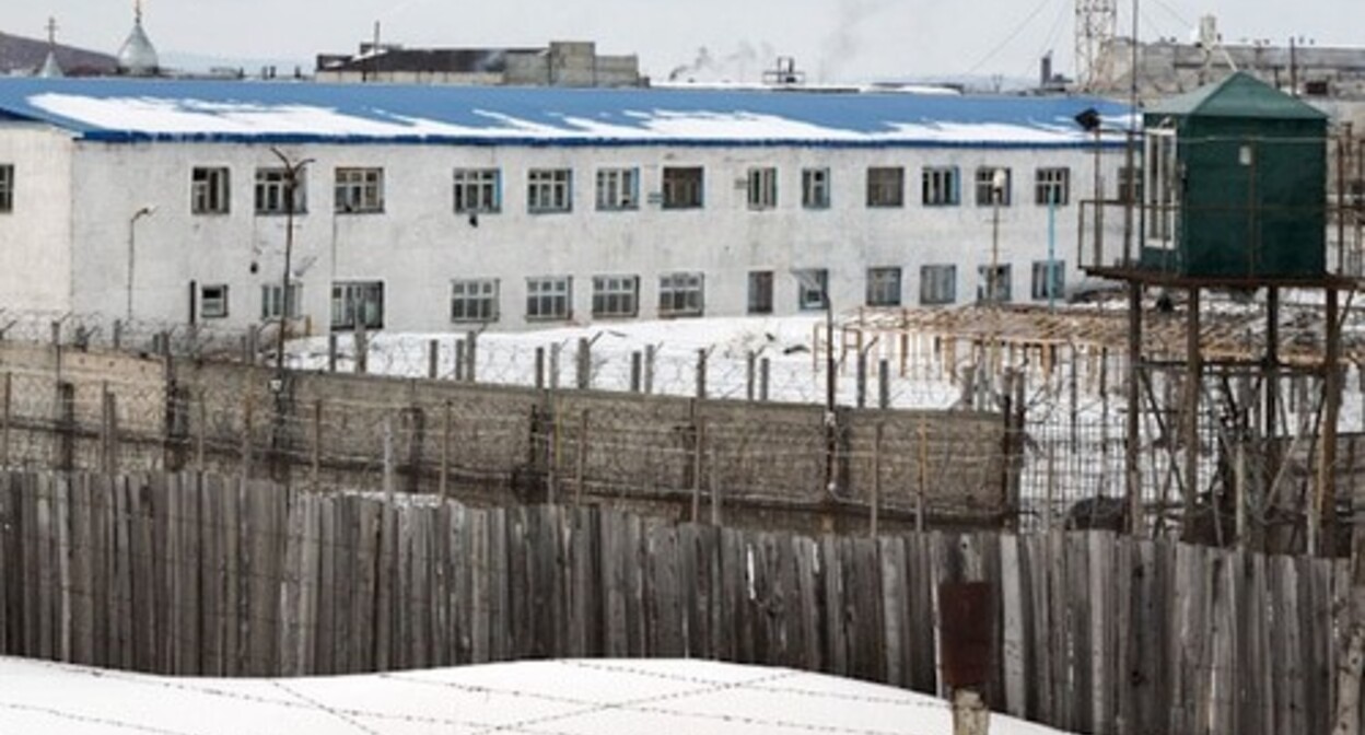 A colony in Karelia, photo: krasivoe-foto.ru