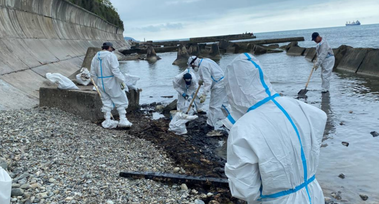 Beach cleanup in Gizel Dere. Screenshot from the Gizel Dere headquarters Telegram channel, May 22, 2026, https://t.me/GizelDere_shore/65/621 Beach cleanup in Gizel Dere. Screenshot from the Gizel Dere headquarters Telegram channel, May 22, 2026, https://t.me/GizelDere_shore/65/621